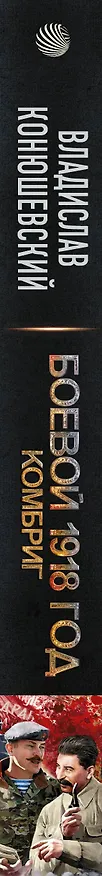Книга Боевой 1918 год. Комбриг (Владислав Конюшевский) — 3