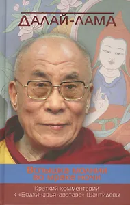 Вспышка молнии во мраке ночи. Краткий комментарий к «Бодхичарья-аватаре» Шантидевы