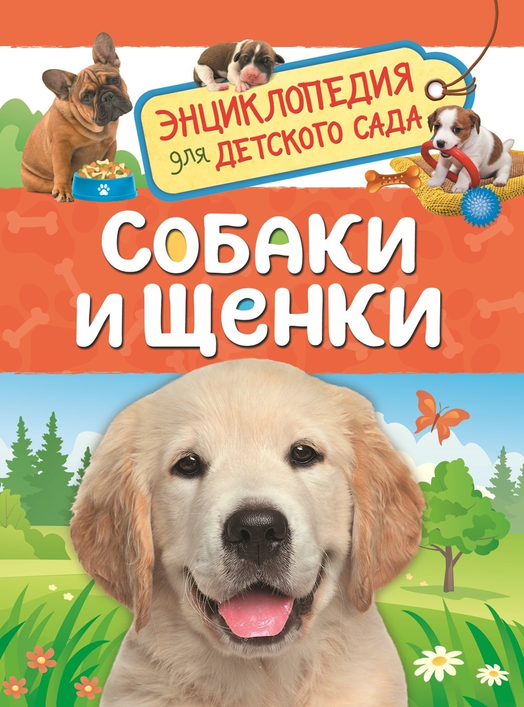 

Собаки и щенки. Энциклопедия для детского сада