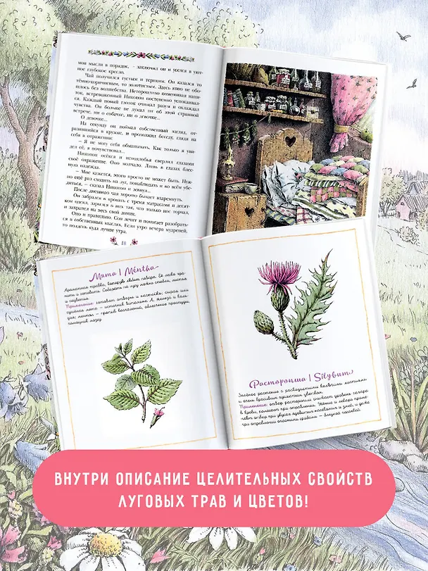 Книга Фифа и магия луговых трав (Фредерика Вайцель) — 7