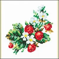 31-05 Земляничка (набор д/вышивания) (11х11)
