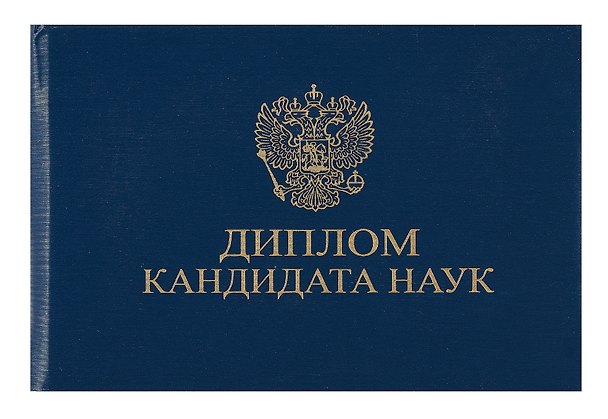 Обложка для диплома кандидата наук, синяя 330137 — 1