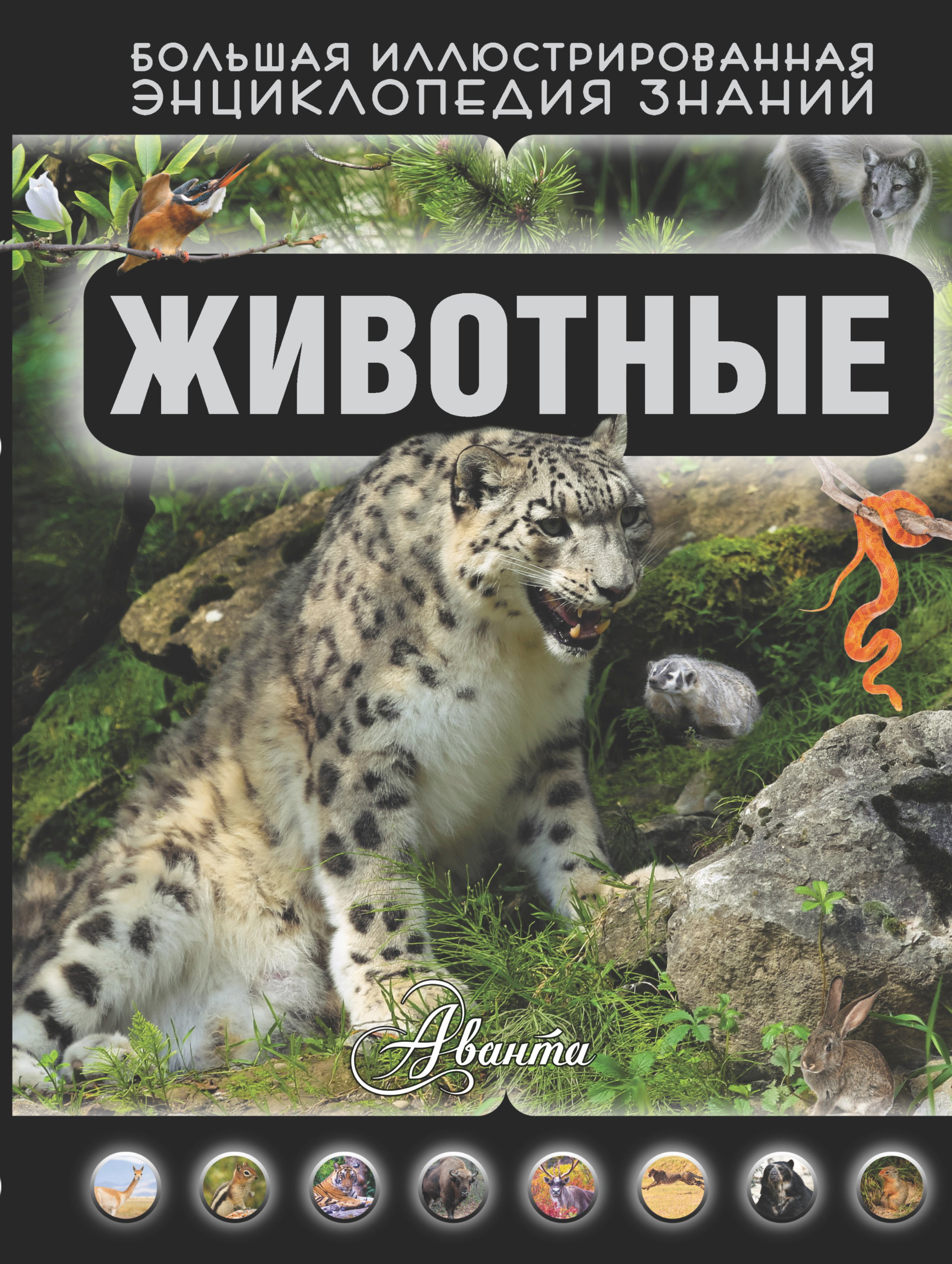 

Животные