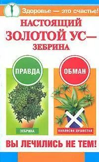 Настоящий золотой ус - зебрина Вы лечились не тем (мягк) (Здоровье это счастье). Савина А. (Аст) — 2123113 — 1