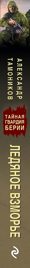 Книга Ледяное взморье (Александр Тамоников) — 3