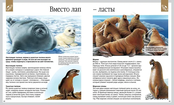Книга Мир моря (Эмили Бомон, Валери Ле Дю) — 4