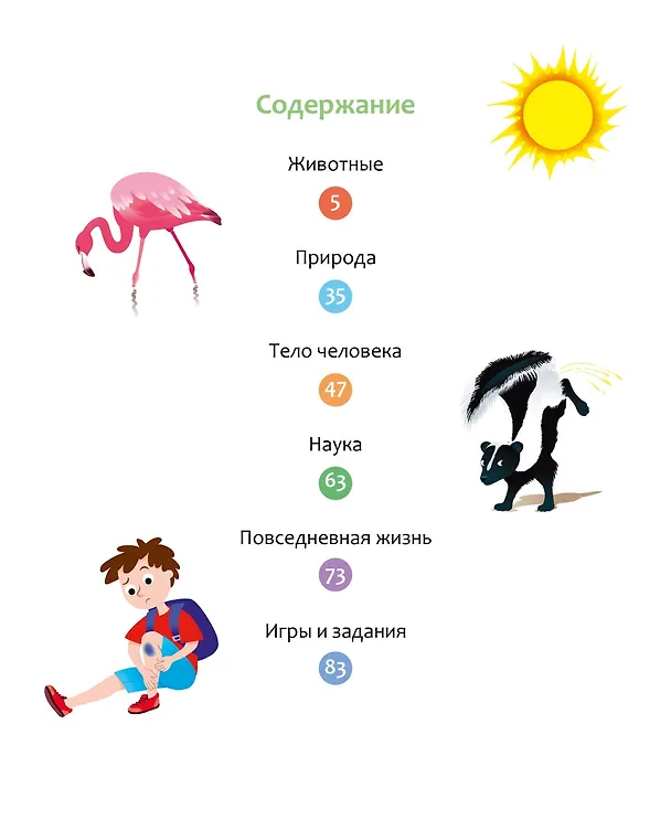 Книга Почему? Вопросы и ответы обо всём на свете (Кэти Франко) — 11