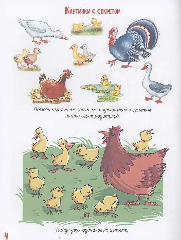 Книга Лето в деревне (Татьяна Романова) — 5