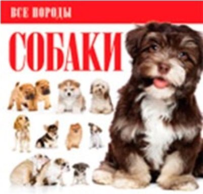

Собаки