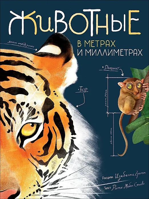 Книга Животные в метрах и миллиметрах (Рита Скьяво) — 1