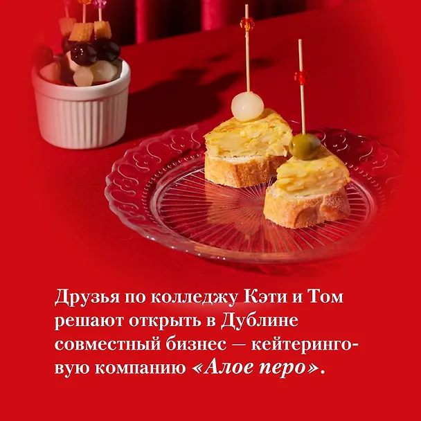 Книга «Алое перо» (Мейв Бинчи) — 7