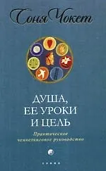Душа, ее уроки и цель: Практическое ченнелинговое руководство