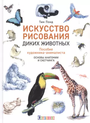 Искусство рисования диких животных. Пособие художника-анималиста. основы анатомии и скетчинга — 2745337 — 1