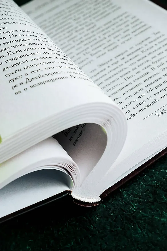 Книга Пламя и кровь: Кровь драконов (Джордж Р.Р. Мартин) — 14