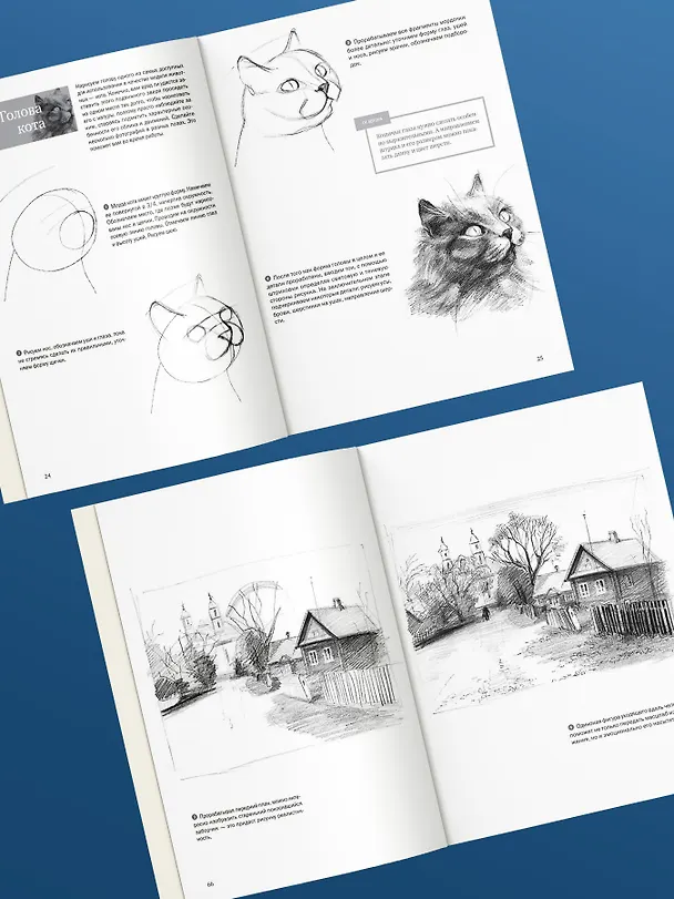 Книга Самоучитель по рисованию. Шаг за шагом + видеокурс (обновленное издание) (Александра Тимохович) — 8