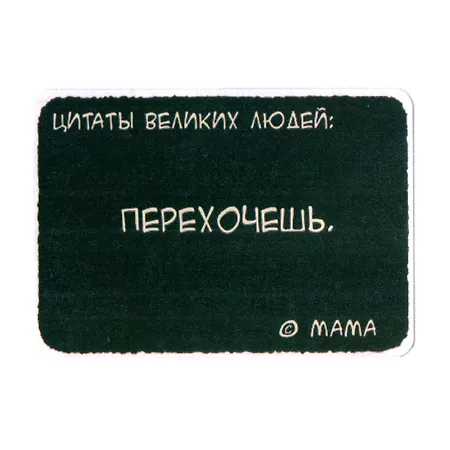 Сувенир МАГНИТИК Магнит 9,5*6,5см "Афоризмы":"Цитаты великих людей..." 2361580 — 1