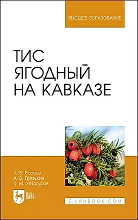 Тис ягодный на Кавказе — 2975378 — 1