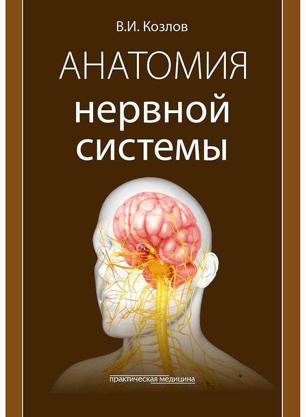 Книга Анатомия нервной системы: учебное пособие (Валентин Козлов) — 1
