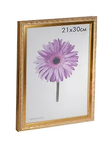 Фоторамка пластик 21*30 "Rosa" золотая, 100 рамок