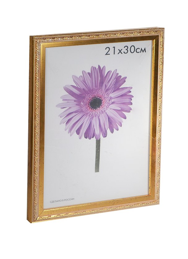 Фоторамка пластик 21*30 "Rosa" золотая, 100 рамок 225688 — 1