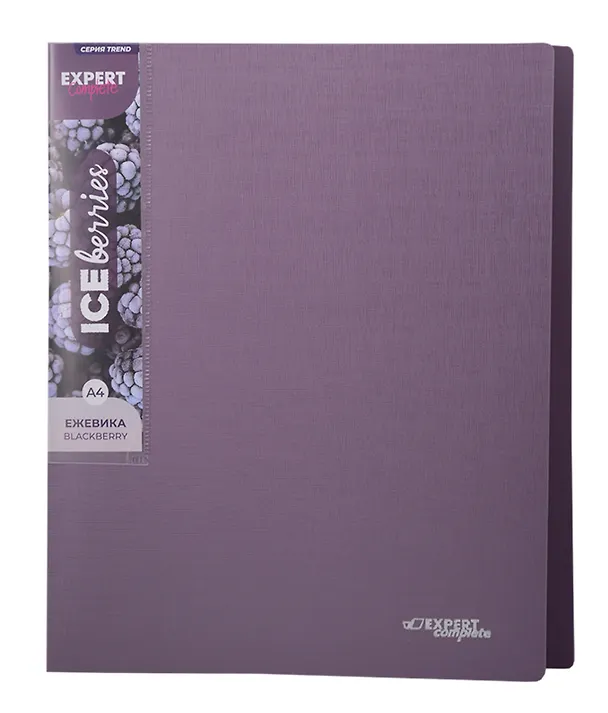 Папка с бок.прижимом А4 "Trend ICEberries", пластик 20мм, ассорти, 3138757 — 14