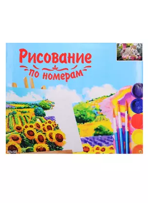 Набор для раскрашивания по номерам ТМ Рыжий Кот Холст 40х50см Леопард на камне Х-8115 — 2798321 — 1