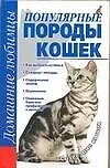 Популярные породы кошек
