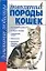 Популярные породы кошек — 2086147 — 1