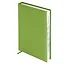 Ежедневник дат. 2026г. А5 176л "Наппа" салатовый, кожзам, тв.переплет, обл.поролон, блинт.тиснение, офсет, справ.мат-лы, ляссе, инд.уп — 3116490 — 3
