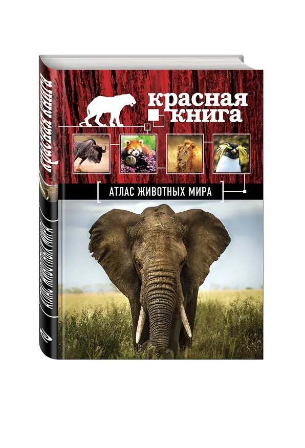 Книга Атлас животных мира (Оксана Скалдина) — 4