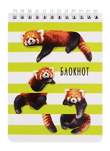 Блокнот А6 120л кл. "КРАСНАЯ ПАНДА" гребень, сплошн.УФ-лак