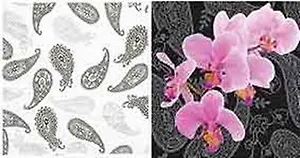 Наб. салф. для декупажа Орхидеи на черном/Китайские огурцы черн. (4720/193218) (2шт)