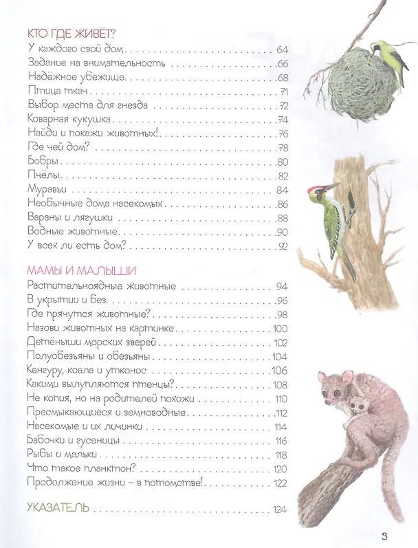 Книга Удивительный мир животных. Энциклопедия для малышей (Ренне) — 3