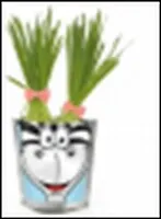 Happy Plant Зебра (hp-46)