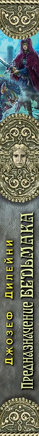 Книга Предназначение Ведьмака (#16) (Джозеф Дилейни) — 3