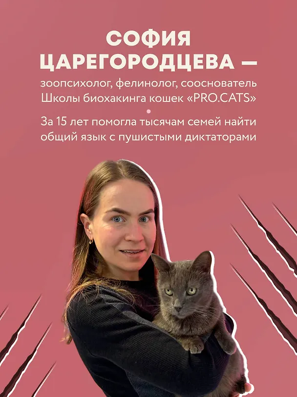 Книга Кошачий закон и порядок. Как найти общий язык с кошкой и не стать жертвой ее капризов (София Царегородцева) — 6