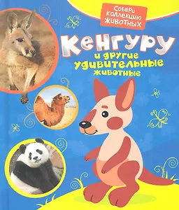 Кенгуру и другие удивительные животные
