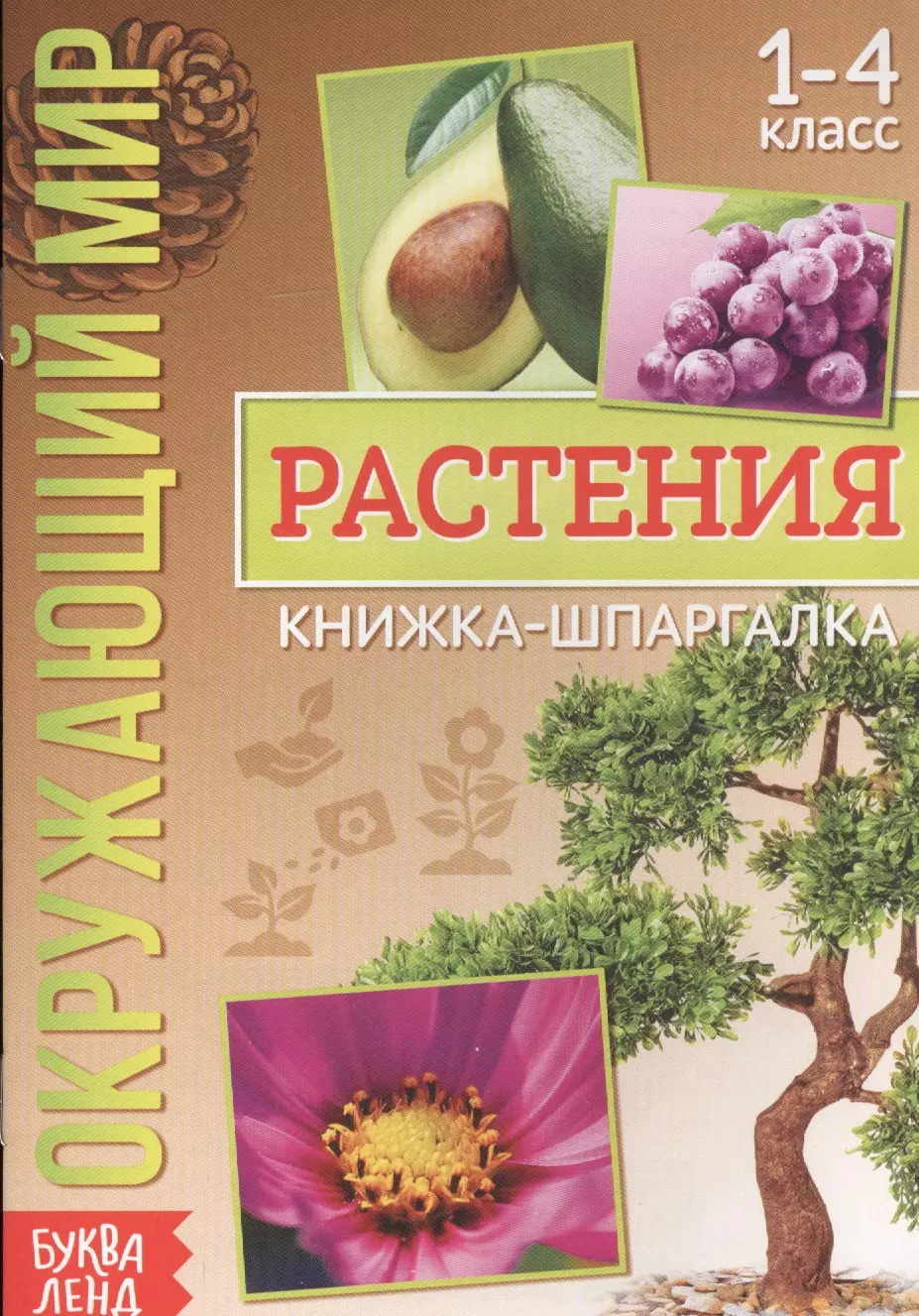 Окружающий мир. Растения. Книжка-шпаргалка для 1-4 класса