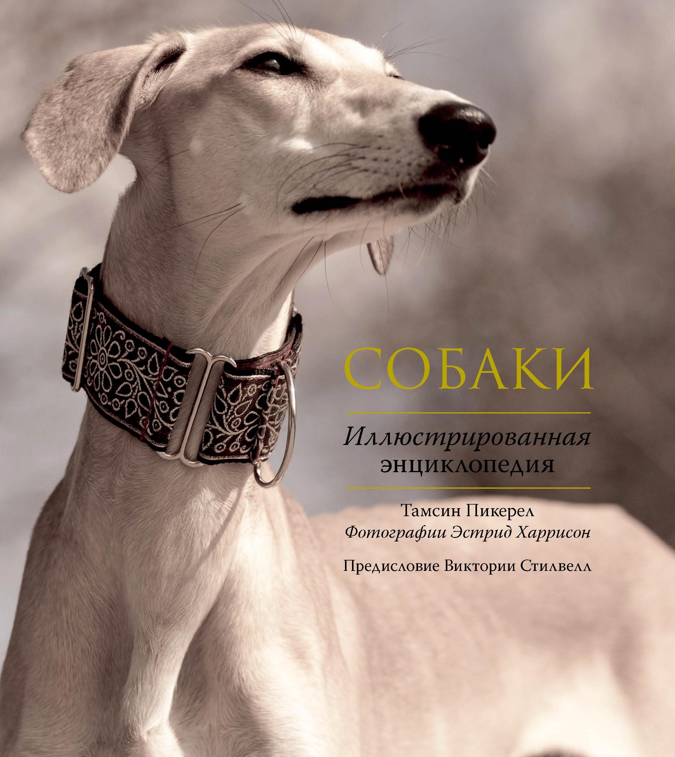 

Собаки. Иллюстрированная энциклопедия