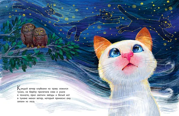 Книга Бонифаций на каникулах (Лада Бакал) — 13