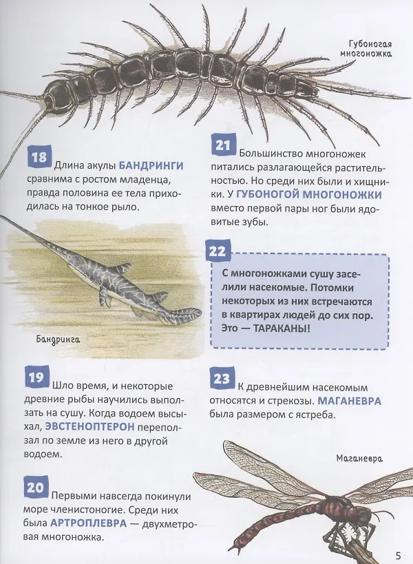 Книга Динозавры. 250 фактов. Энциклопедия российского школьника () — 2