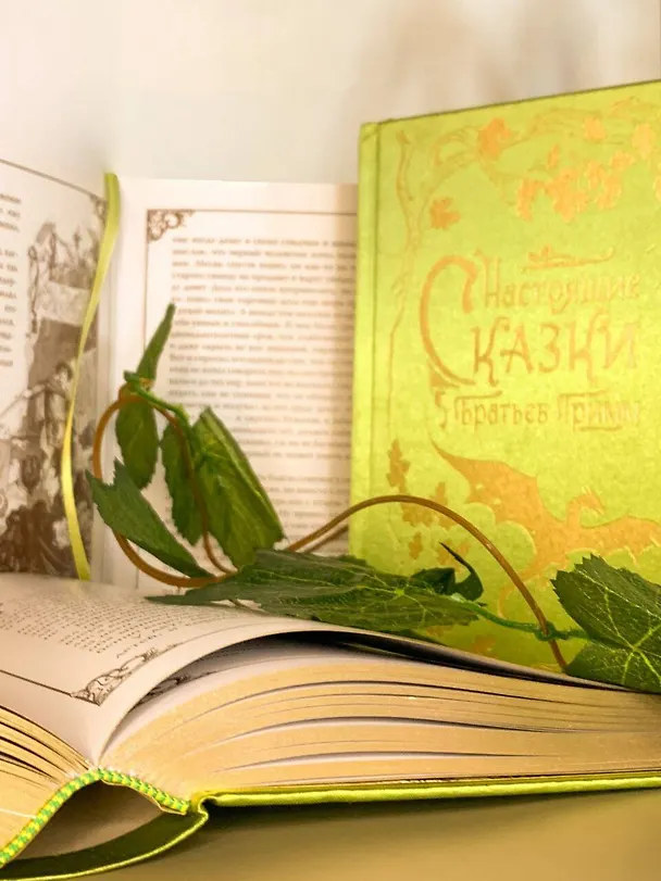 Книга Настоящие сказки братьев Гримм (шелковая коллекция) (Вильгельм Гримм, Якоб Гримм) — 9