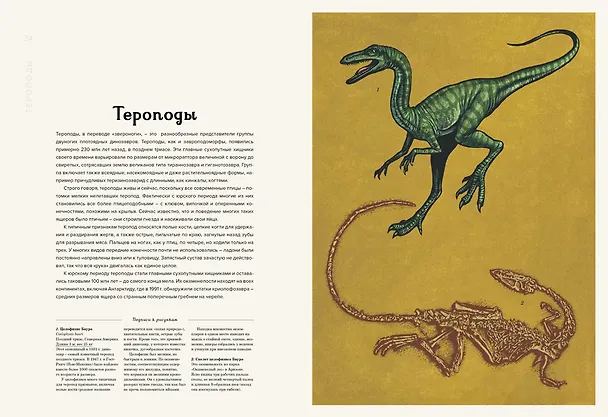Книга Динозавриум (Кейти Скотт, Лили Маррей, Джейми Брун) — 6