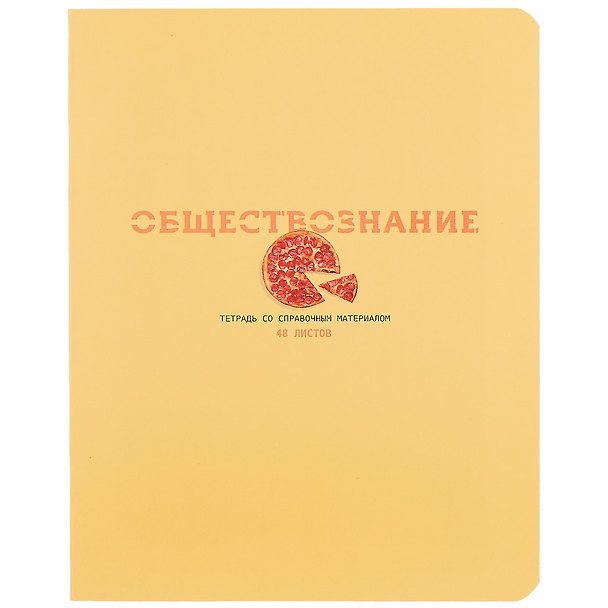 Тетрадь предметная в клетку BG, "Infinity. Обществознание", 48 листов 259195 — 1