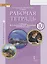 Английский язык 10 кл. Р/т (к уч. Ю.А. Комаровой и др.) Углубл. ур. (мФГОС ИннШк) Комарова (ФГОС) — 2852491 — 1