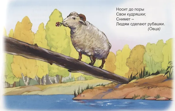 Книга Загадки в стихах (Владимир Борисов, Владимир Борисов) — 3