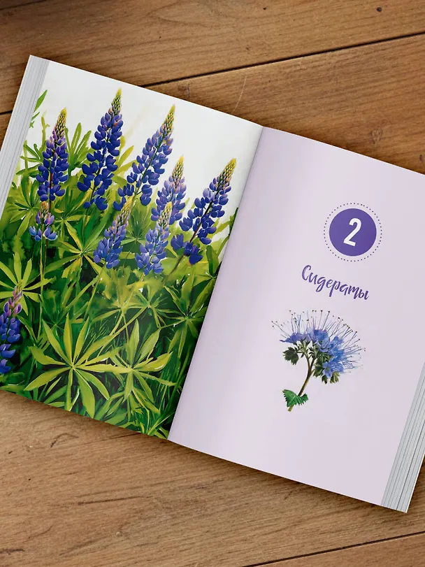 Книга Шпаргалка для садовода. Практические советы по работам в малоуходном саду от Татьяны Селезневой (Татьяна Селезнева) — 11