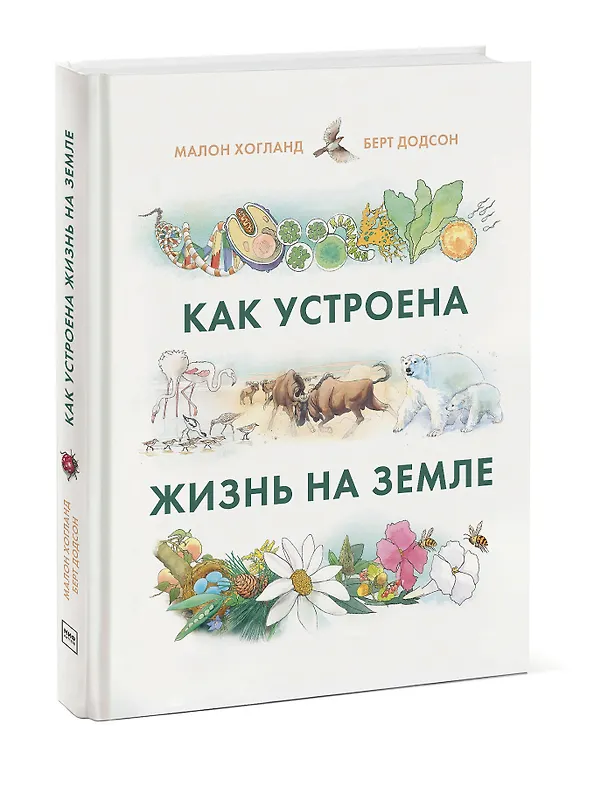 Книга Как устроена жизнь на Земле (Малон Хогланд) — 4