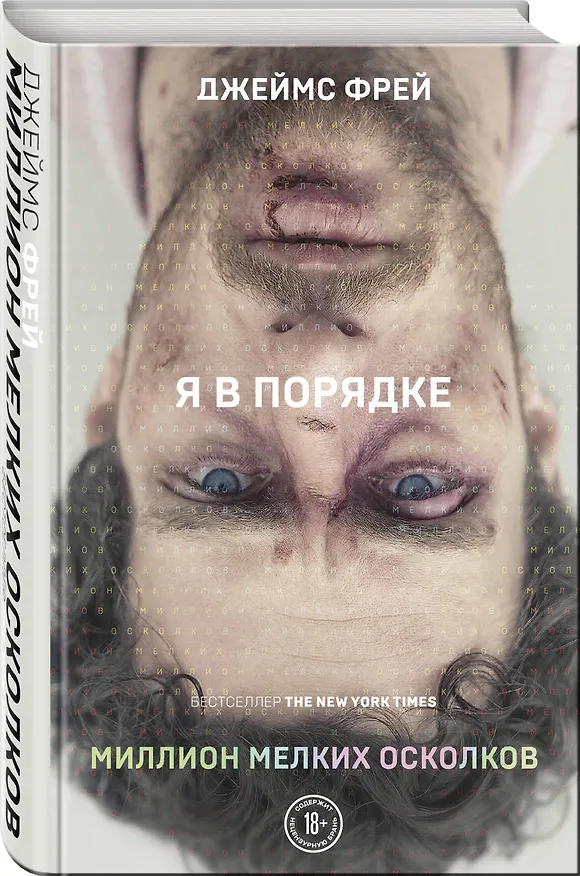 Книга Миллион мелких осколков (Джеймс Фрей) — 4
