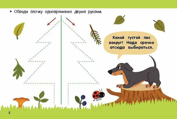 Книга Рисуем правой и левой руками одновременно (Валентина Дмитриева) — 10